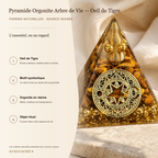 Pyramide Orgonite Arbre de Vie - Oeil de Tigre — fiche descriptive